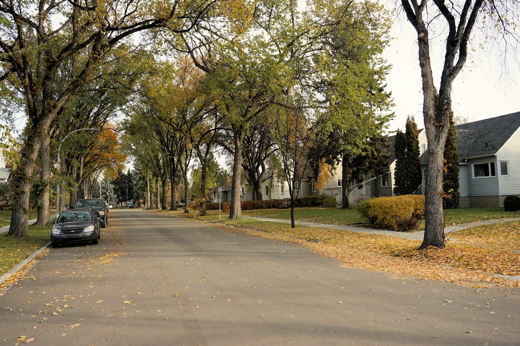 Westwood Edmonton Homes For Sale, Westwood Real Estate